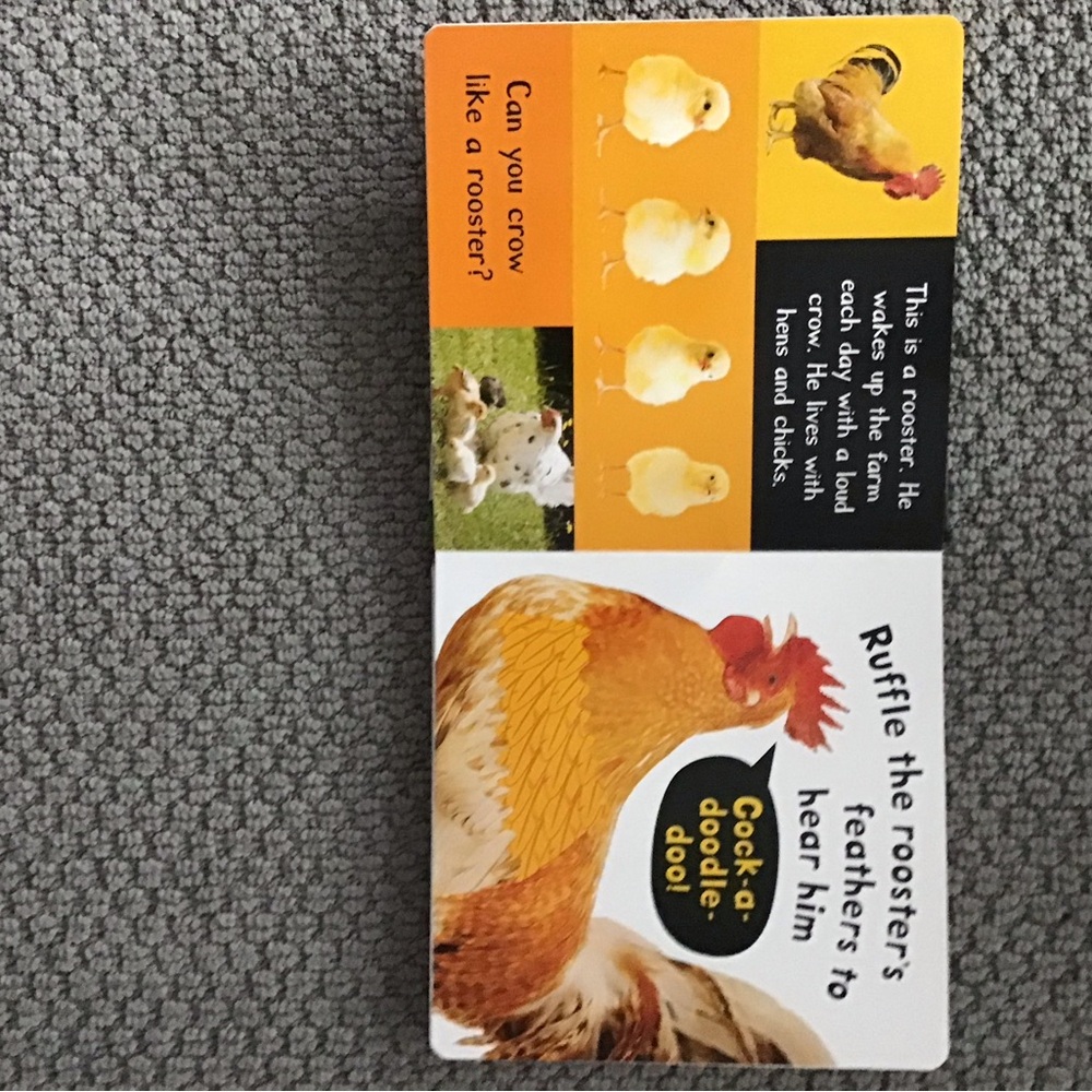 Children’s Book:  Noisy Farm Touch and Feel Sound Book - Picture 3 of 4